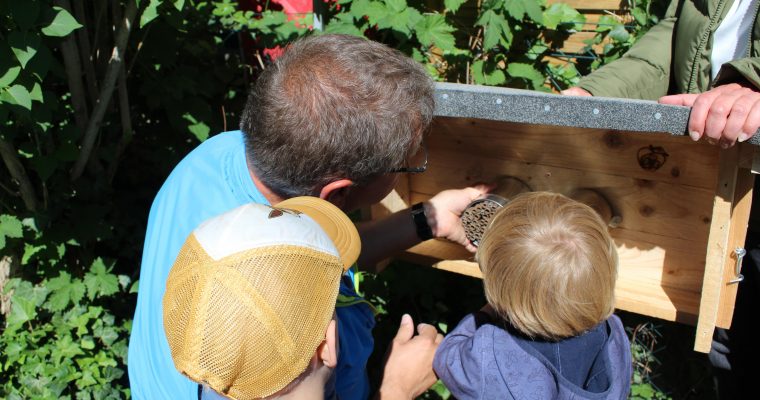 Vorfreude auf Wildbienen