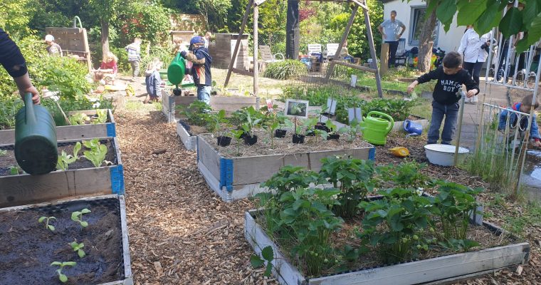Pflanzzeit in LeNes Lerngärten