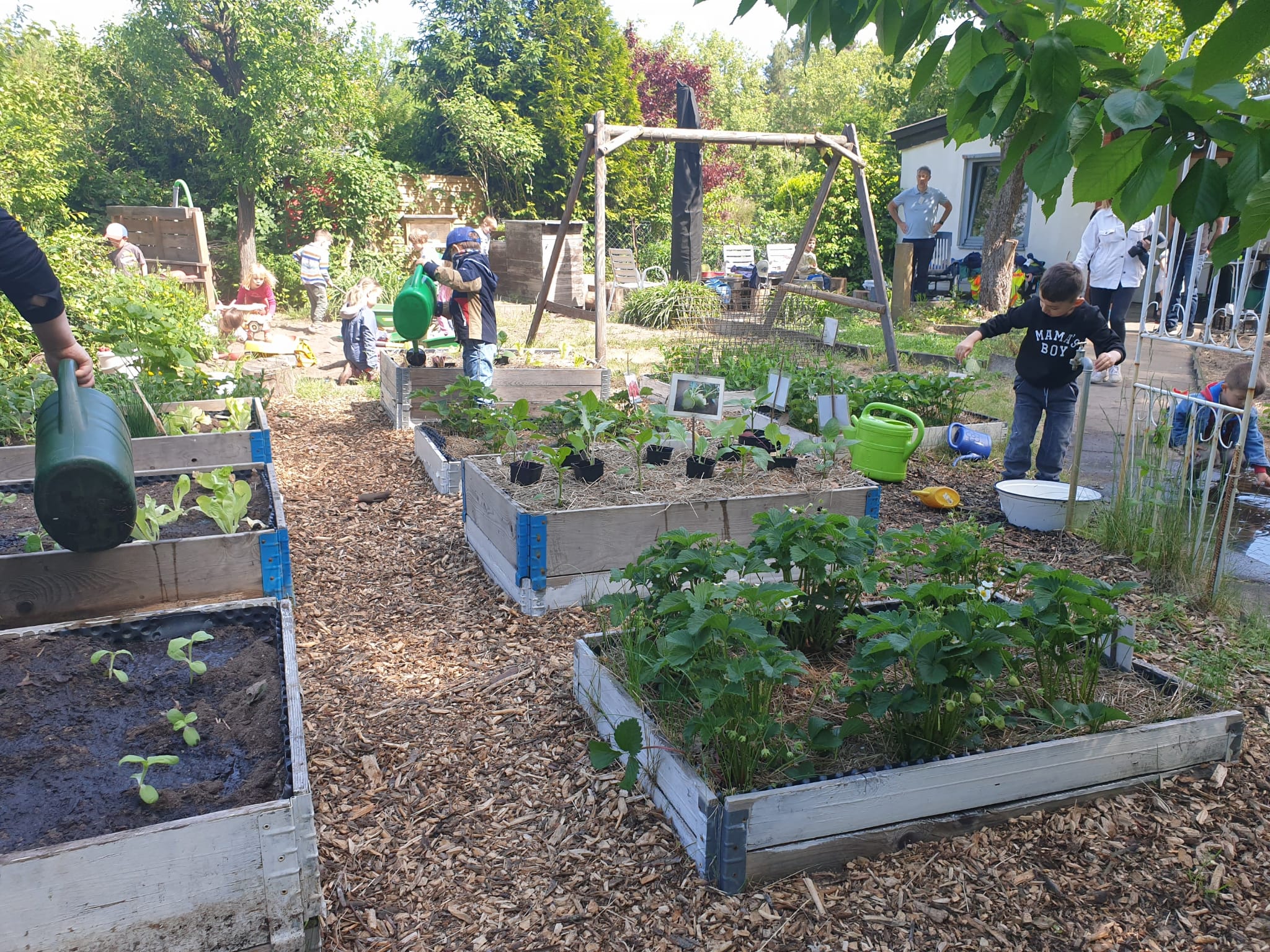 Pflanzzeit in LeNes Lerngärten