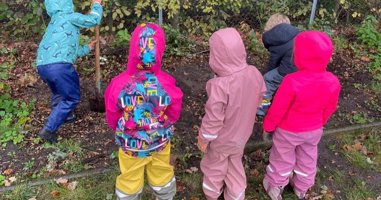 LHH macht’s möglich – Neue Beerenbüsche für LeNes Elfriede