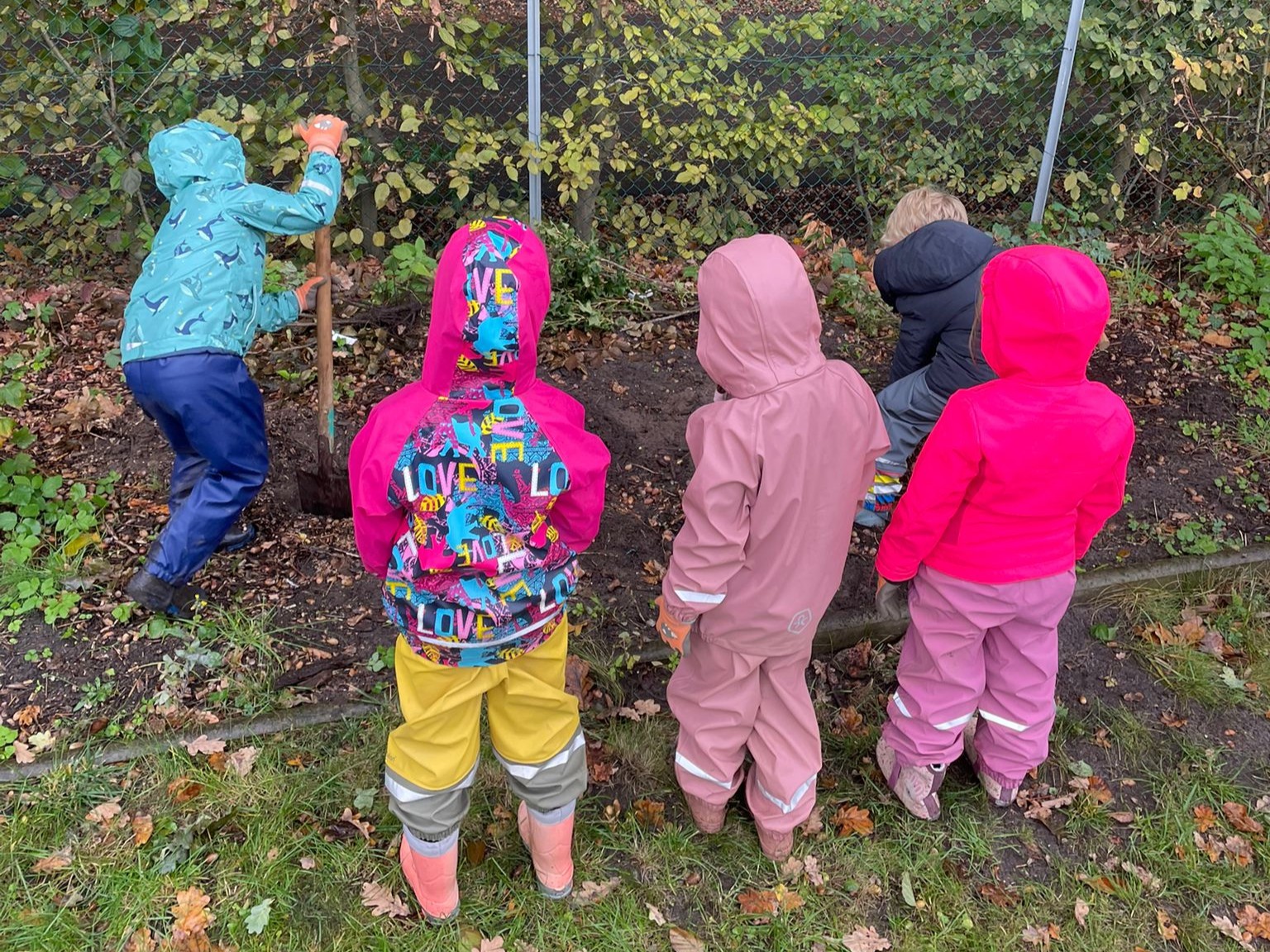 LHH macht’s möglich – Neue Beerenbüsche für LeNes Elfriede