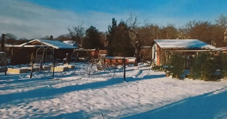 Schnee von gestern und frische Ideen für morgen