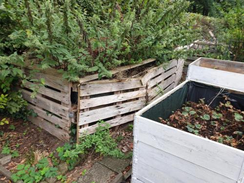 Mit Brennesseln überwuchterter Kompost und Hochbeetstruktur bei der Gartenübernahme